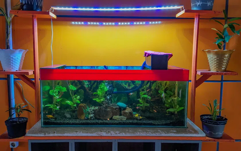 Visual realistis aquarium minimalis: fungsi, spesifikasi dan kondisi existing