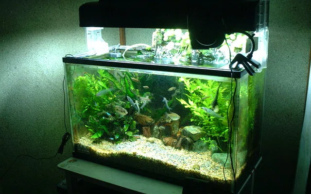 Air dan listrik perlu dipisahkan dengan cara yang mudah dipahami pengguna — Ide Aquascape untuk Ruang Tamu