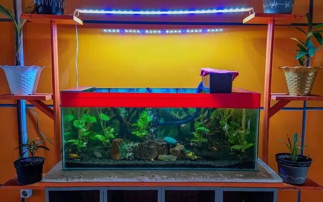 Jalur listrik, drainase dan titik air untuk aquarium aquascape takalar