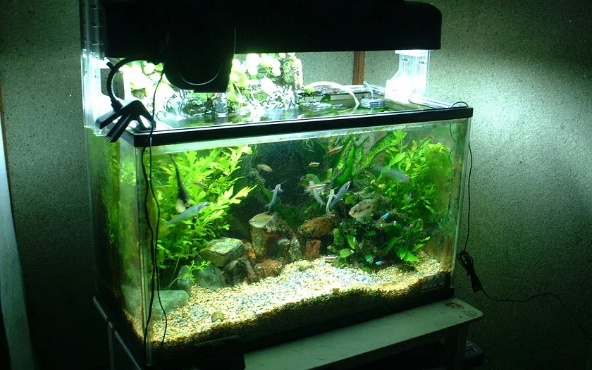 Konsep detail dan pemeriksaan kabinet aquarium
