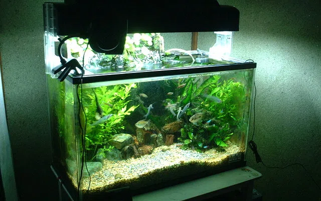 Jalur listrik, drainase dan titik air untuk aquarium aquascape bulukumba